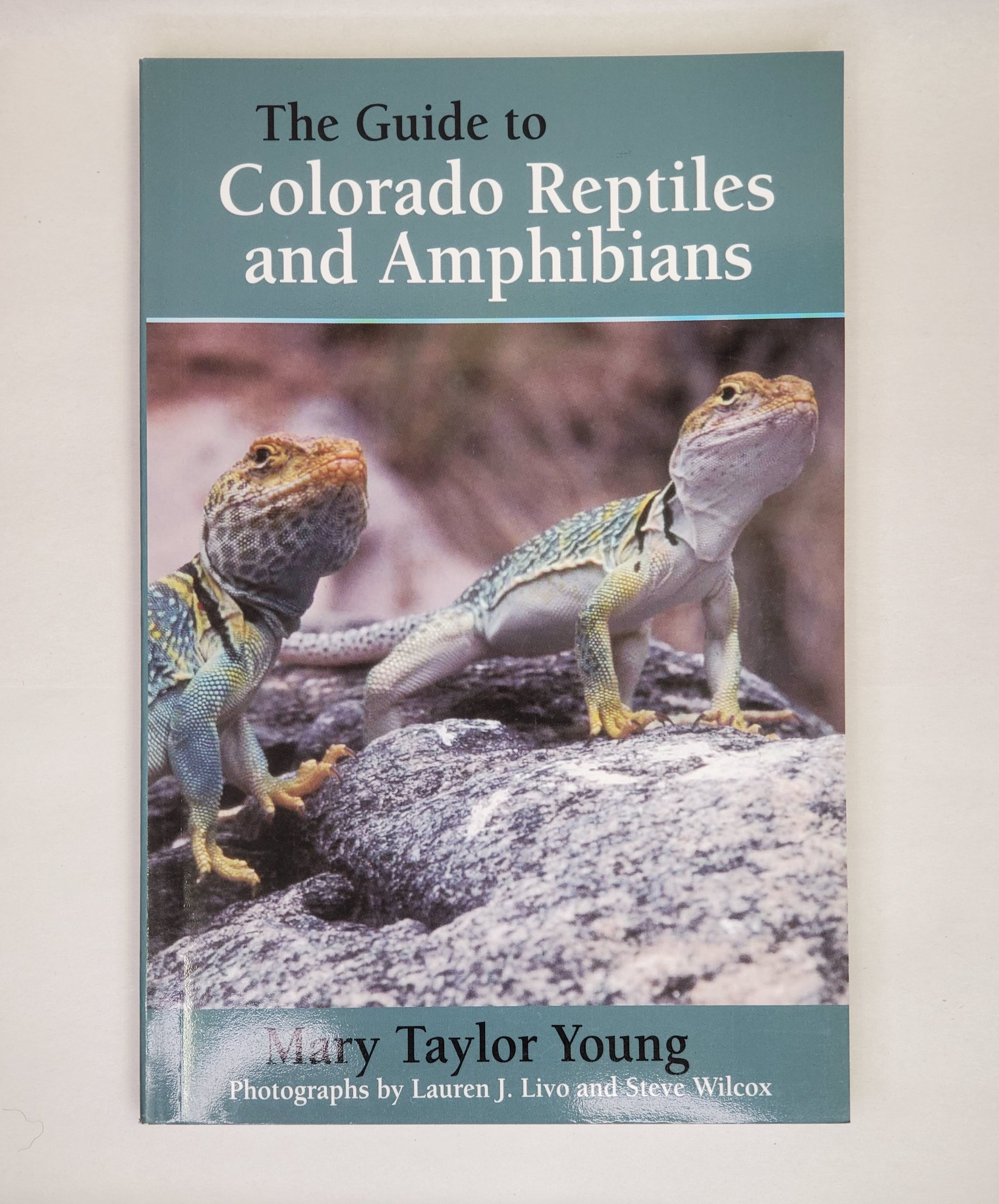 Colorado Reptiles and Amphibians My Site