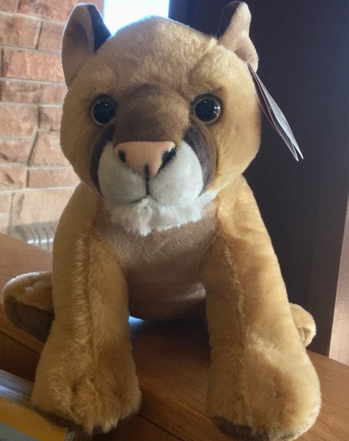 Stuffed mountain lion new arrivals
