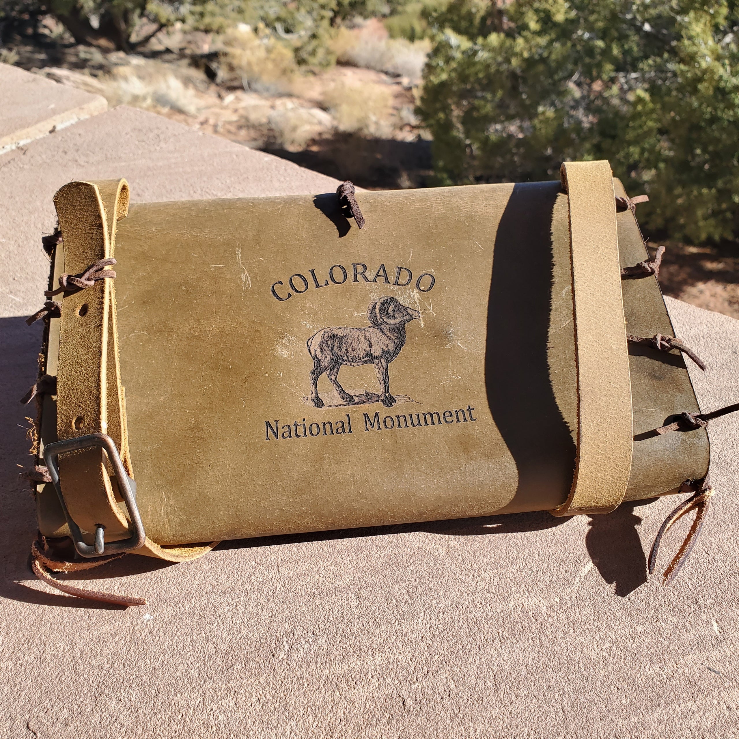 Pioneer Side Satchel